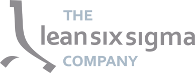 theleansixsigmacompany.ph
